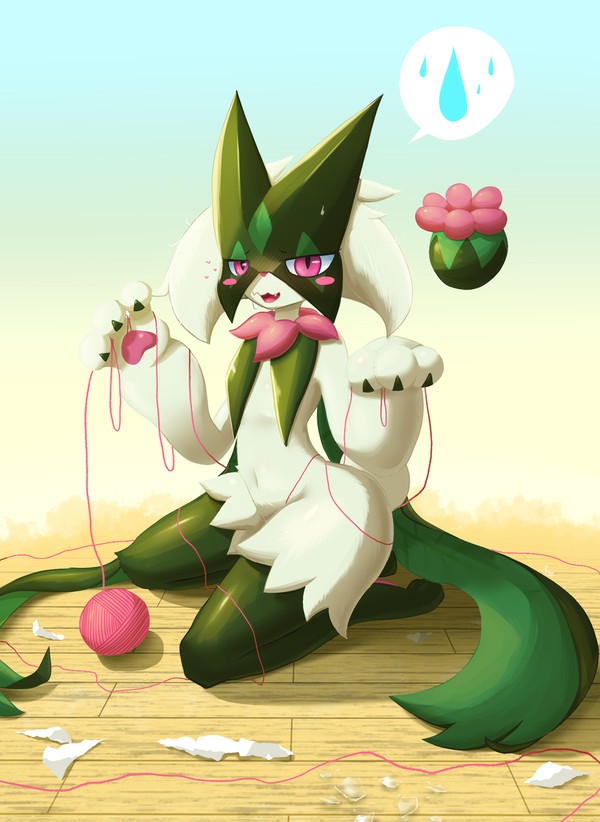 Silly cat