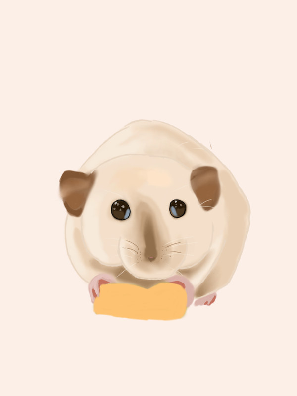 ネズミだよ🐭
