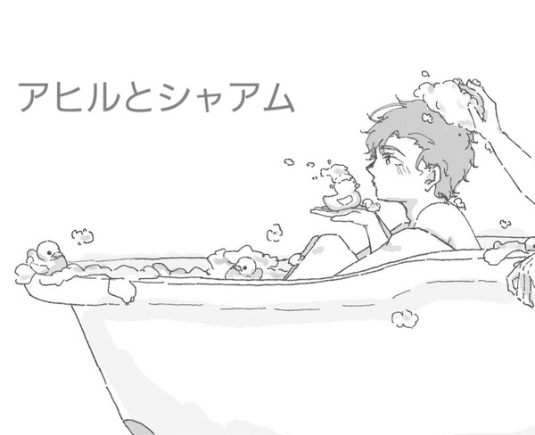 シャアムとアヒル