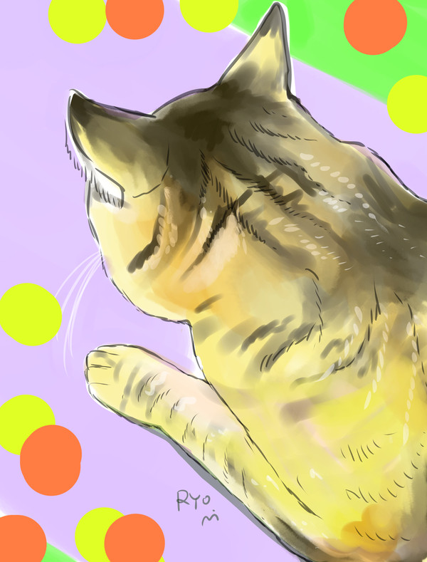 猫さんのうしろあたま