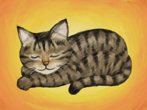 おねんね猫