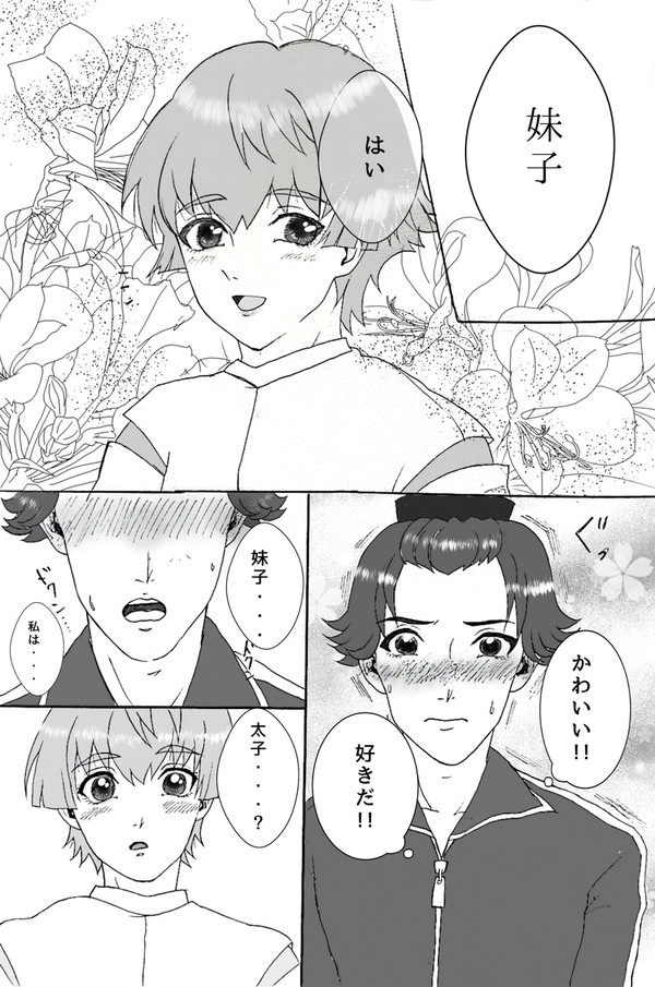 抑えられない、この想い【太妹】