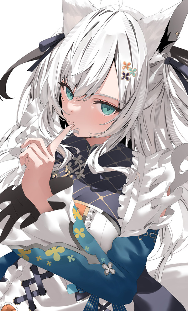 ふぶさん