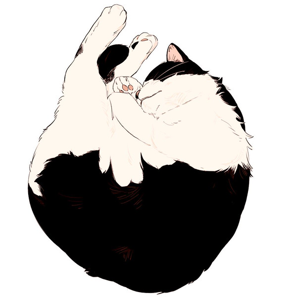 猫 イラスト