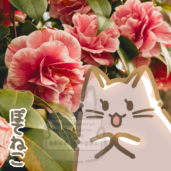 2025年4月のぽてねこ