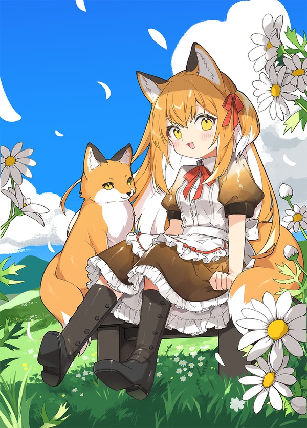 きつねの楽園