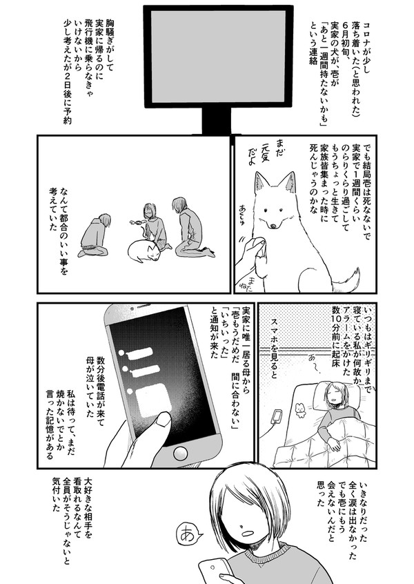【ウェブ再録】実家の犬が死んだ