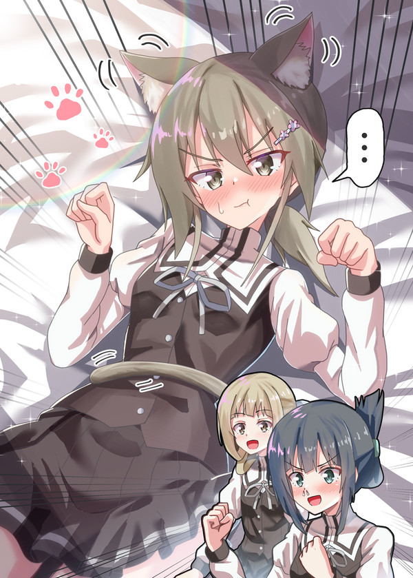 三ノ輪銀にゃん