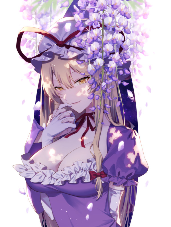 藤と八雲紫 - 1/1