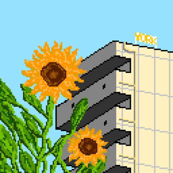 ひまわり
