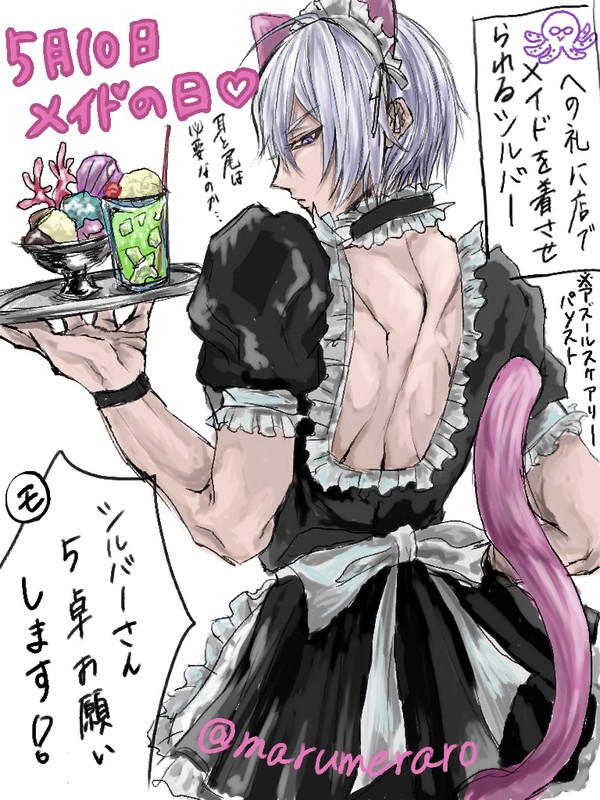 女装注意 シルバー・セベク
