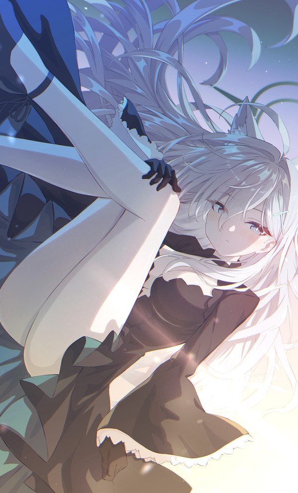 シロコテラー