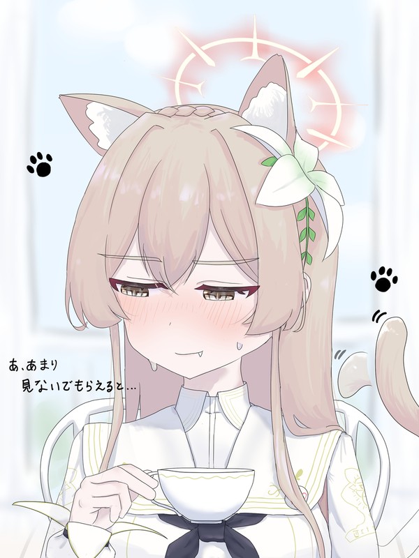 ネコさんのナギサ