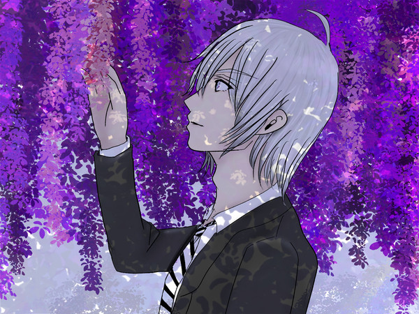 藤の花とシルバー