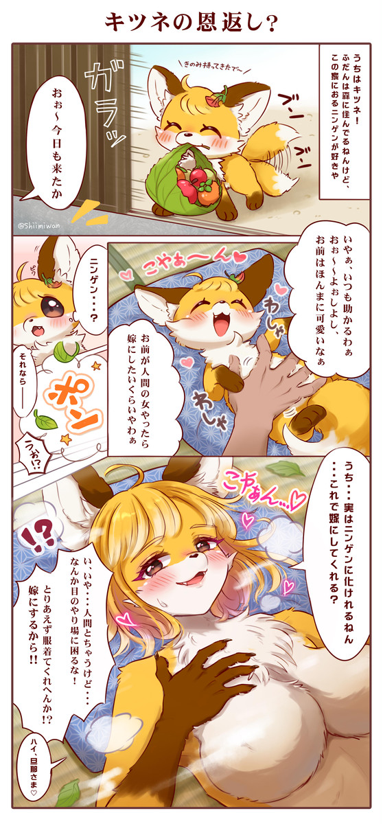 キツネの恩返し？