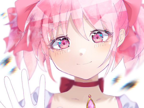 「願い事、決めたよ」