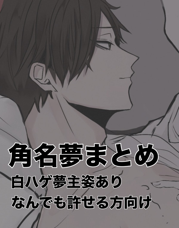 すな夢まとめ