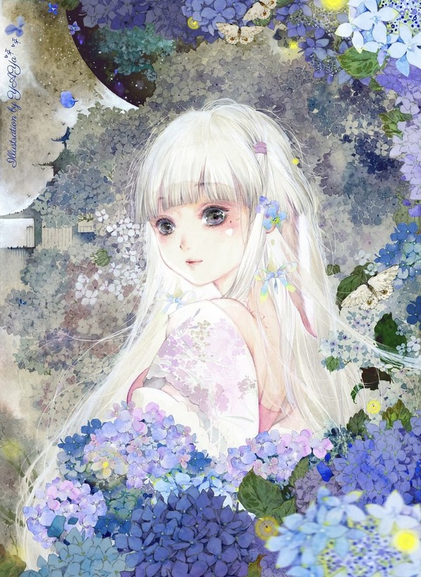 有紫阳花与萤火虫的夜光