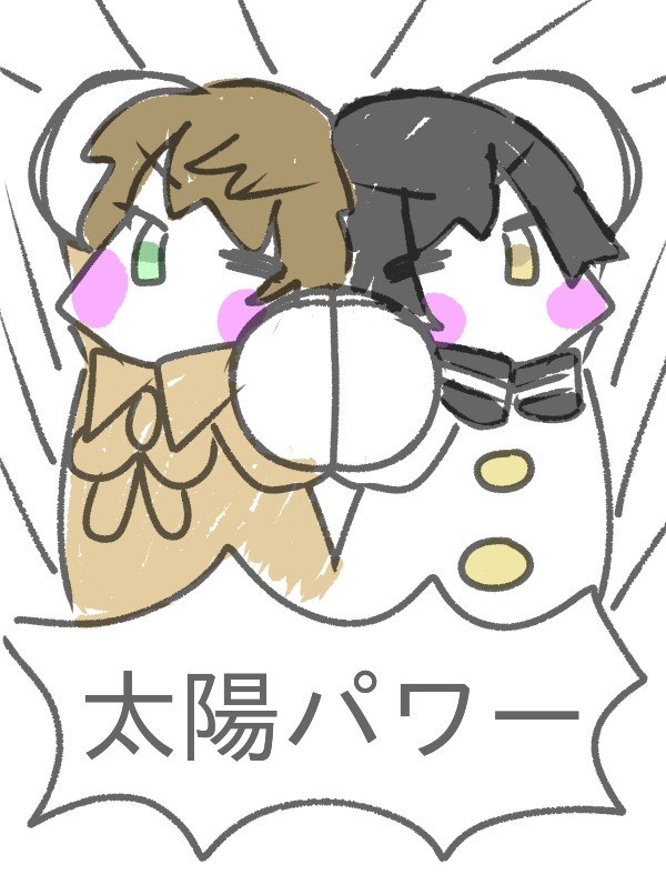 太陽パワー🌞💪