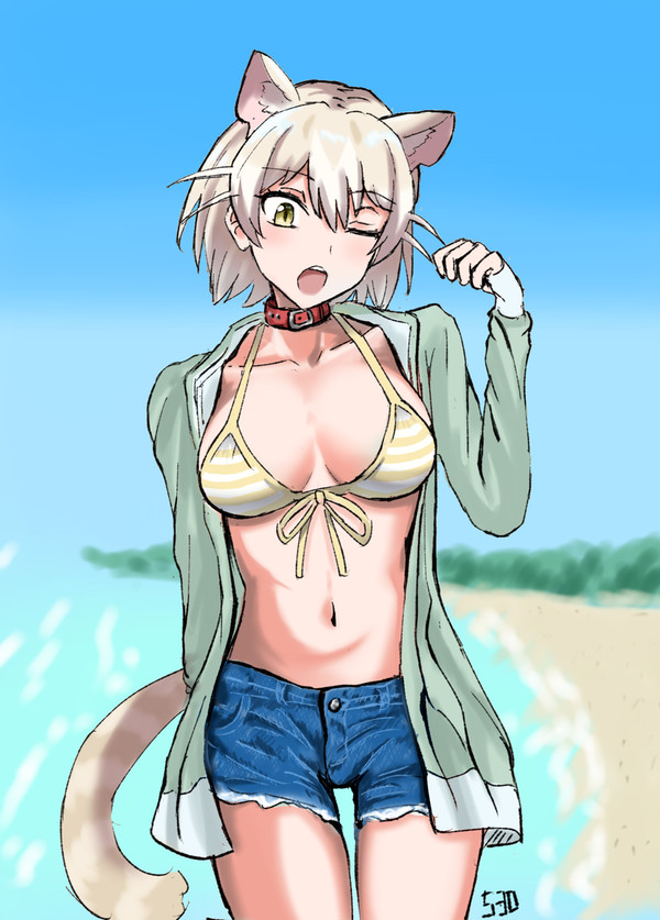 けものフレンズ2025上半期
