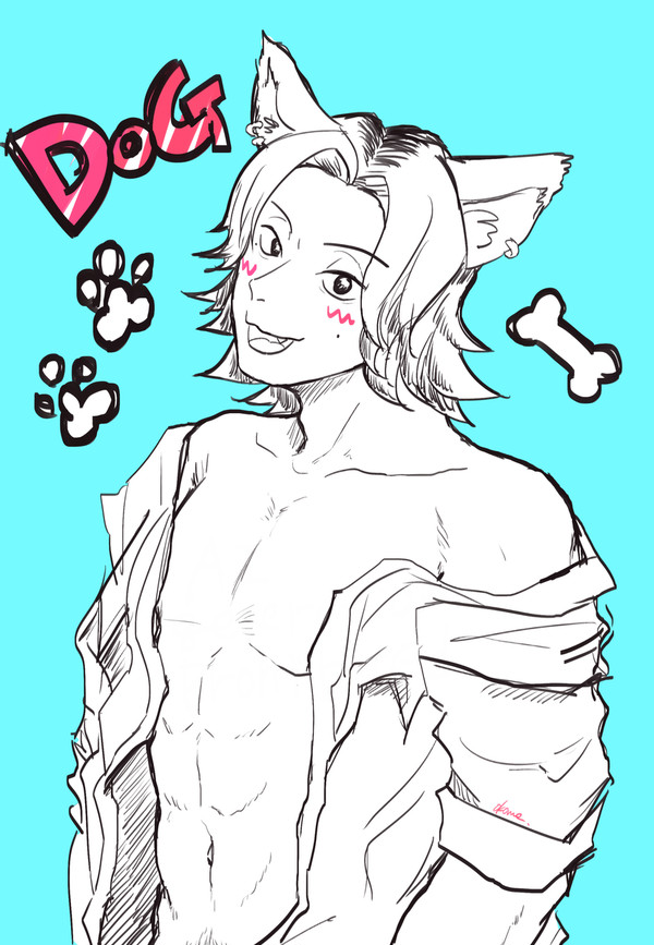 Dog Daisuke
