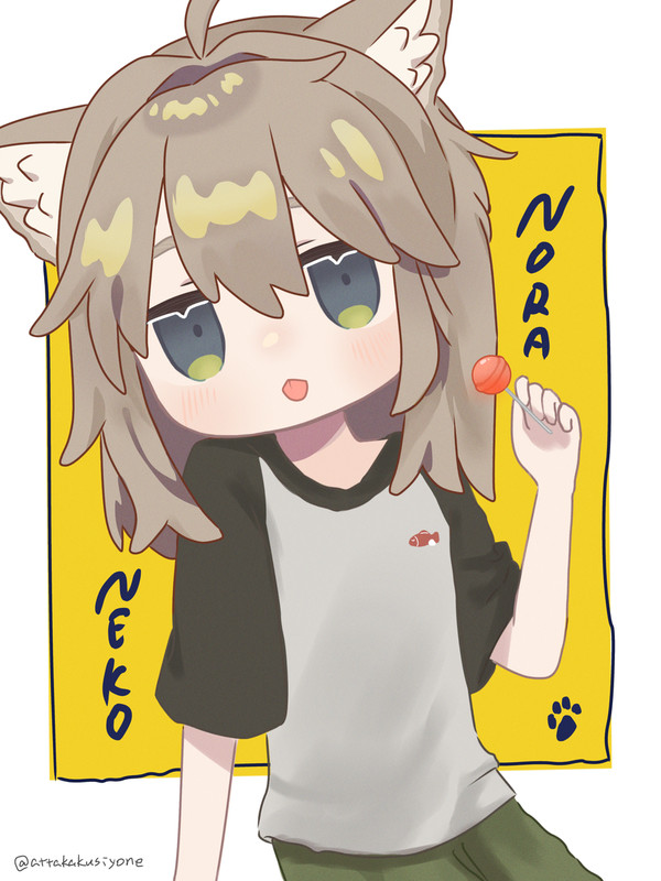 ノラキプ