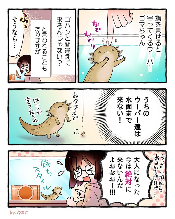 【ウパだより】