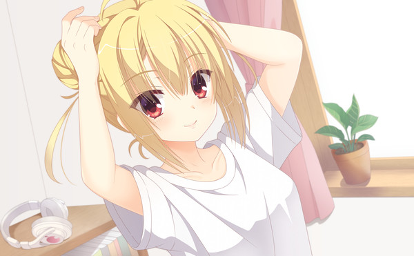 ツインお団子