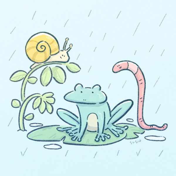 雨が嬉しい生き物たち