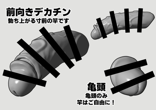 【クリスタ用3D素材】前向きデカチン+亀頭