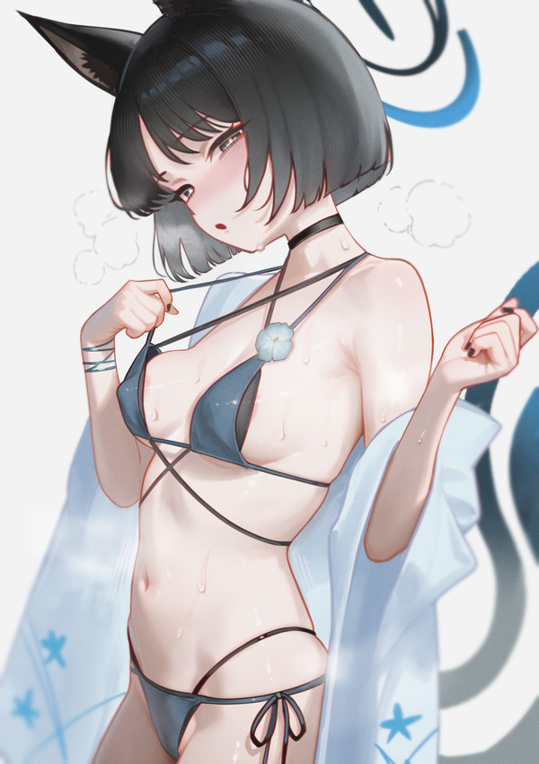 キキョウ ☀️ ☀️