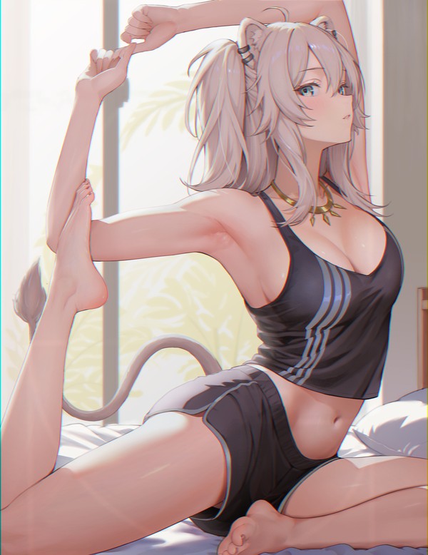黄金比