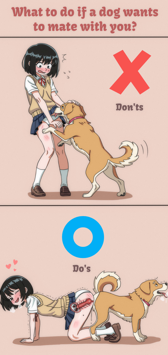 dog dog dog