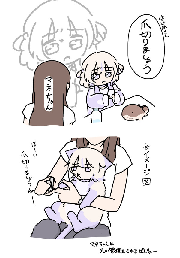 配信関連