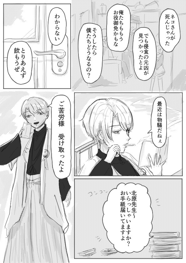 啄と白のまとめ