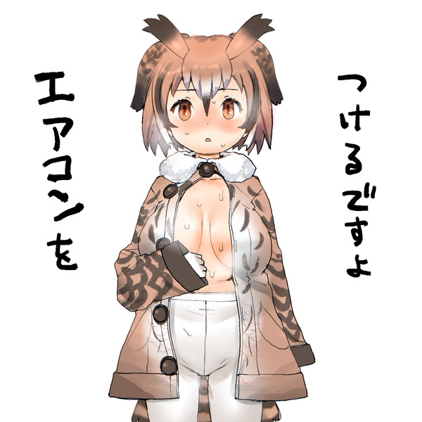 ミミちゃん助手