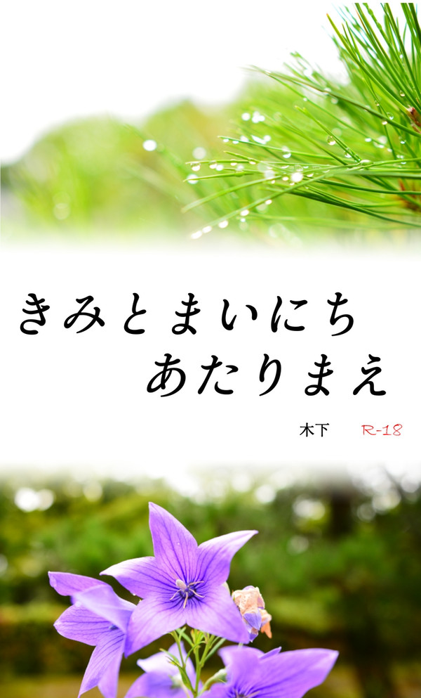 【pixiv承花小説再録本】きみとまいにちあたりまえ R18【告