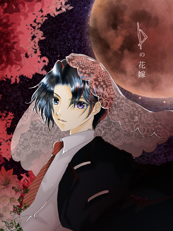 Dの花嫁