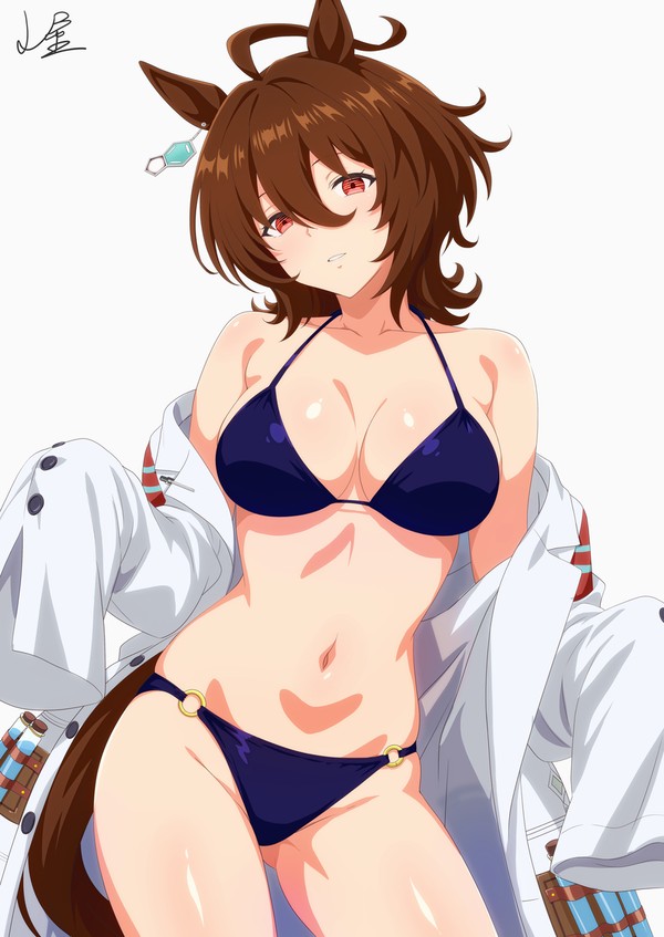 こんなのがいいのかい?