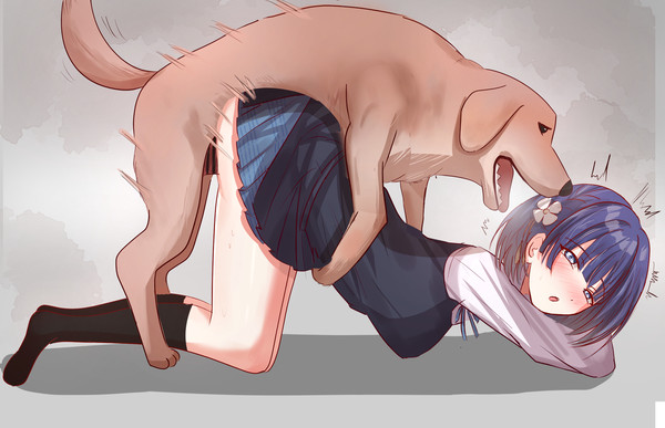 秦谷美鈴×dog