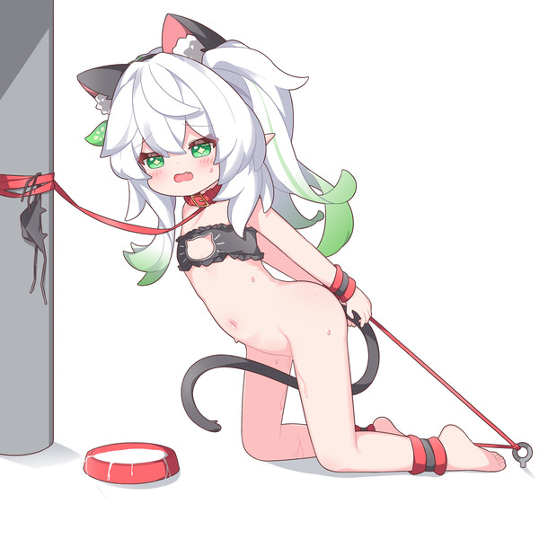 ナヒーダ