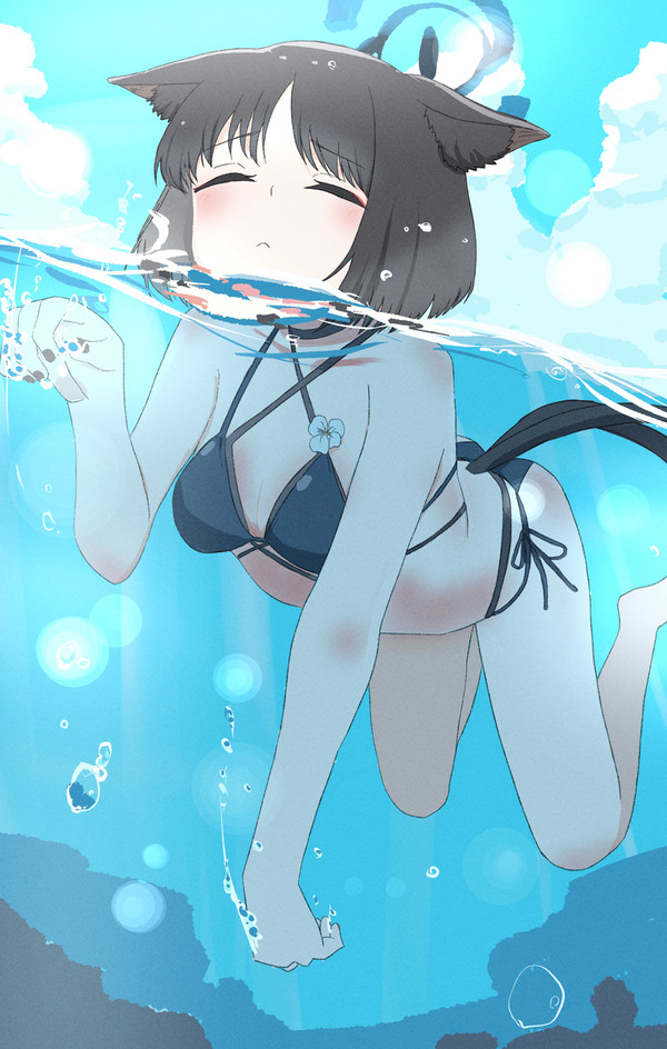 猫カキ