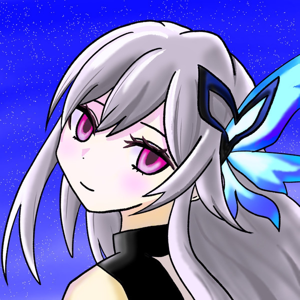 夜空とスカーク