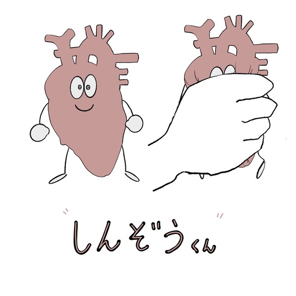 しんぞうくん1