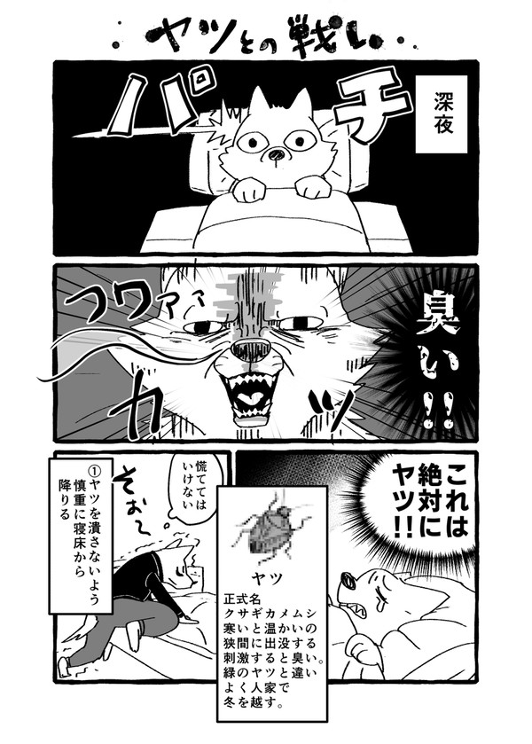 【日記】ヤツ戦記