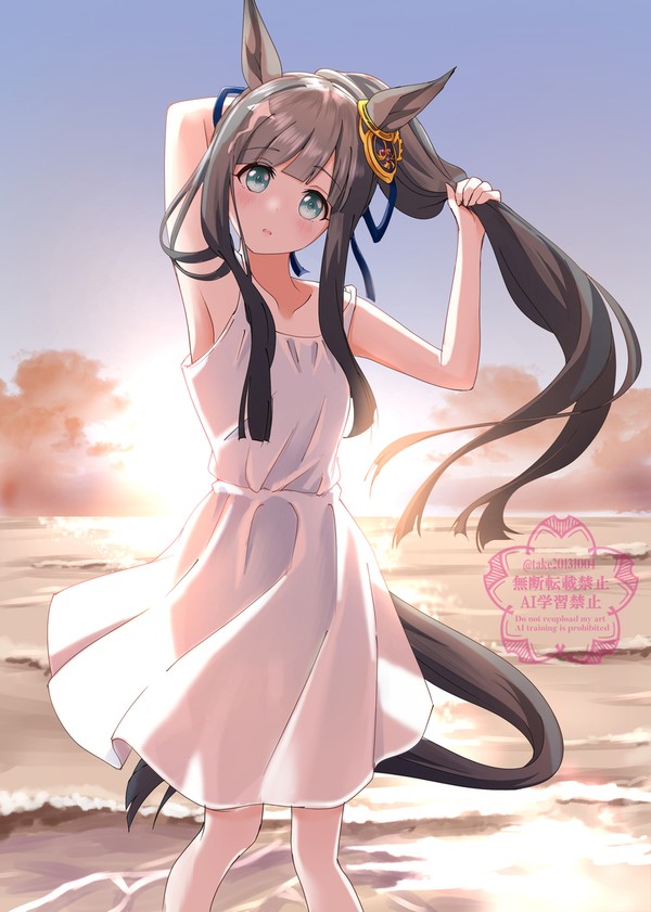 ポニーテールの日