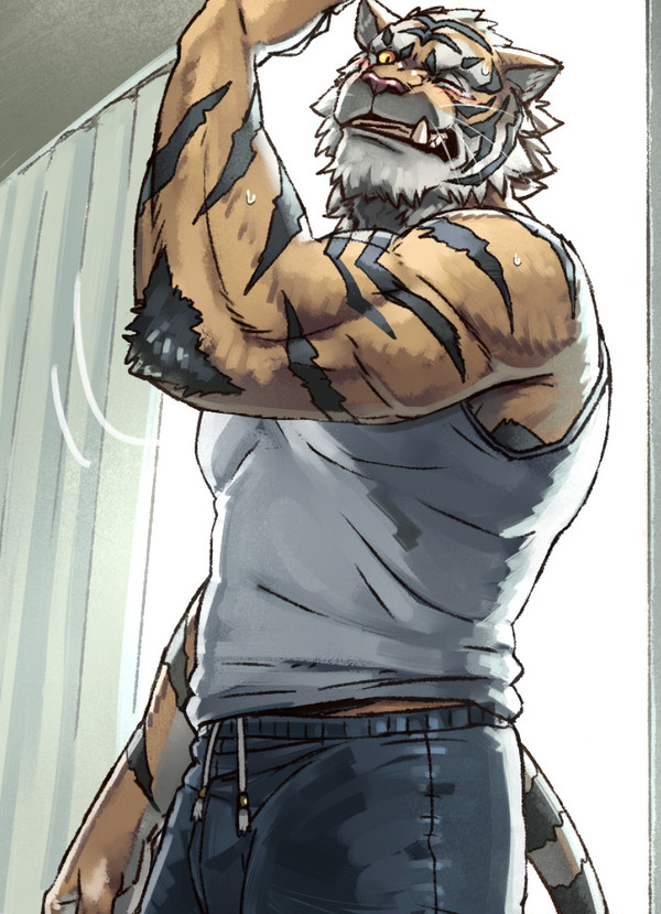 🐯早朝虎16