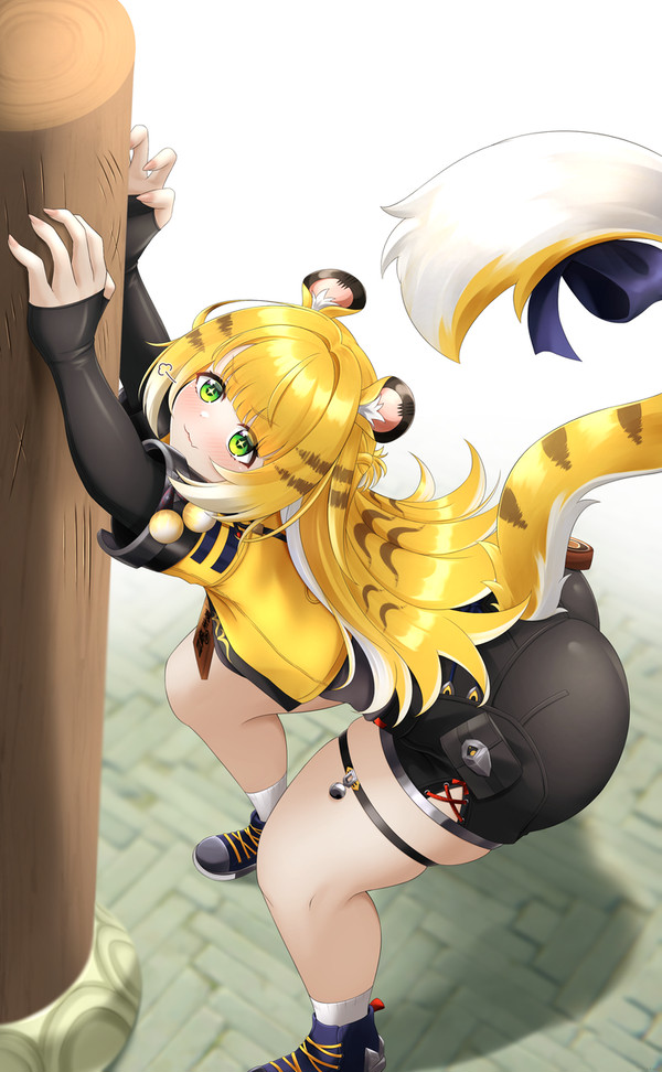 Ju fufu (ZZZ)