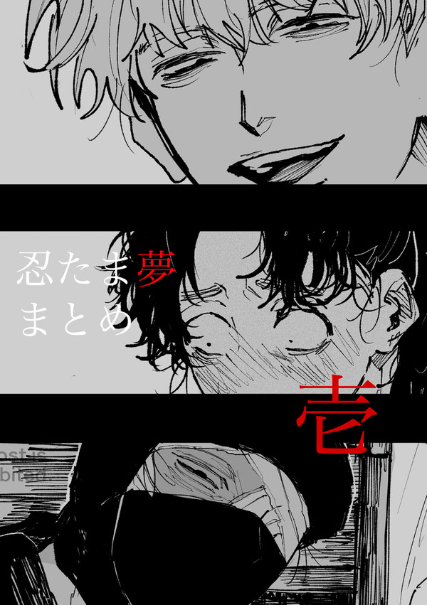 忍たま夢まとめ