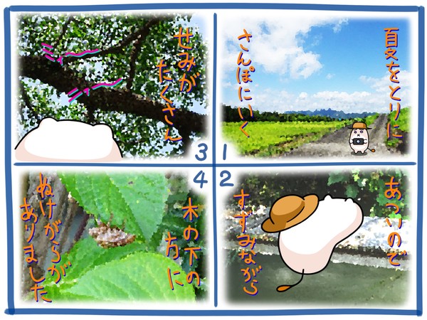 夏の写真を撮りに